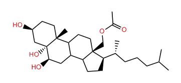 Dendronesterol A